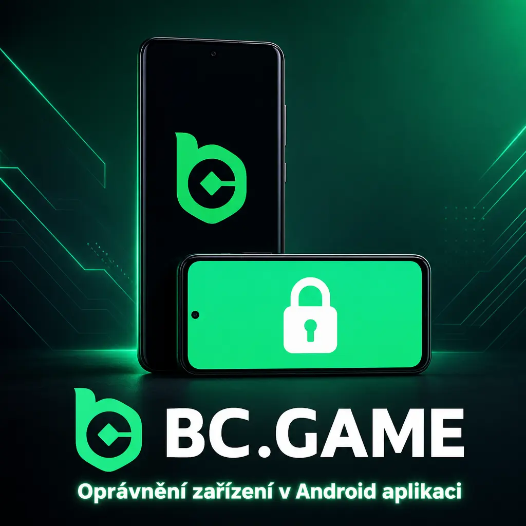 Obrazovka Androidu s oprávněními aplikace pro oznámení, úložiště, kameru a internet